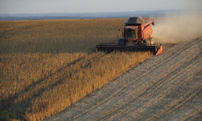 Brasil encerra 2021 com 86,63 milhões de toneladas de soja produzidas