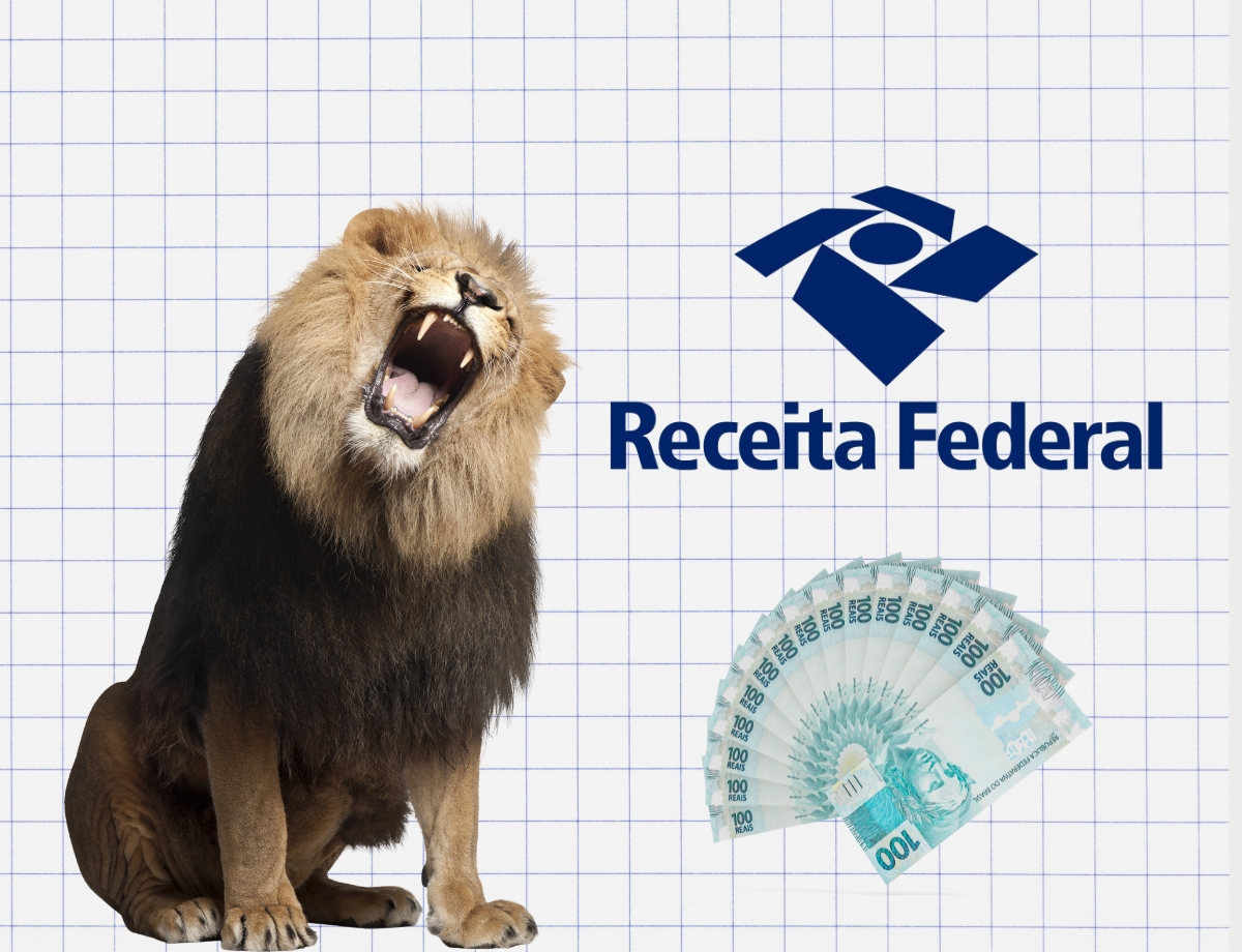 Segundo, terceiro, quarto ou quinto lote? Como descobrir em qual posição você está na